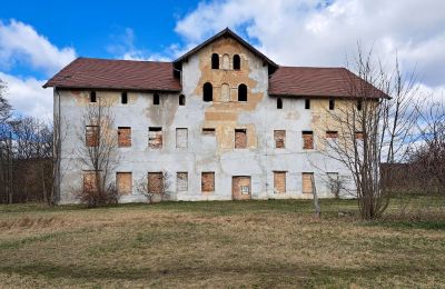 Villa padronale in vendita Lipa, Pałac w Lipie Dolnej 10, Bassa Slesia,, Vista frontale