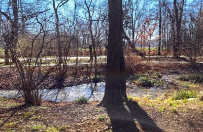 Castello in vendita Bystrzyca Dolna, Bassa Slesia, Foto 9/9