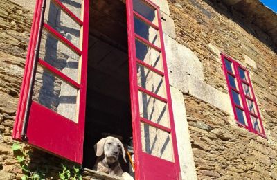 Villa padronale in vendita Galizia, Foto 10/48