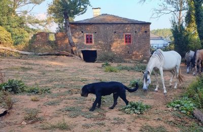 Villa padronale in vendita Galizia, Foto 12/48