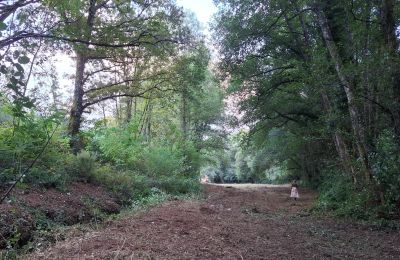 Villa padronale in vendita Galizia, Foto 47/48