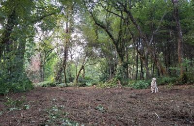 Villa padronale in vendita Galizia, Foto 48/48