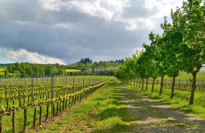 Casa di campagna in vendita Sarteano, Toscana, Foto 46/50