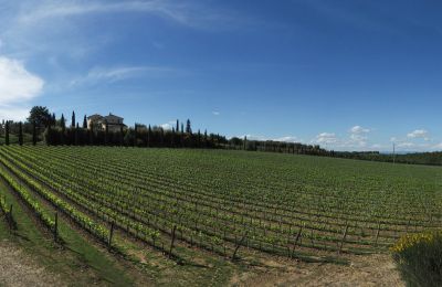 Casa di campagna in vendita Sarteano, Toscana, Foto 50/50