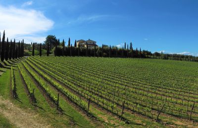 Casa di campagna in vendita Sarteano, Toscana, Foto 48/50