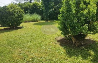 Villa storica in vendita Salies-de-Béarn, Nuova Aquitania, Foto 17/17