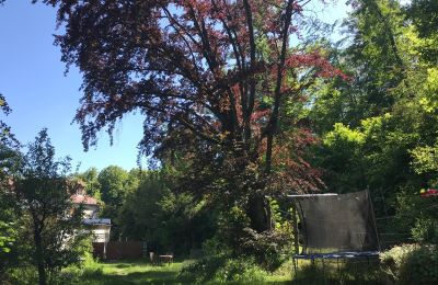 Appartamento in edificio storico in vendita Gera, Vollersdorfer Str. 56, Turingia, Garten mit Buche