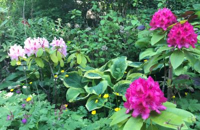 Appartamento in edificio storico in vendita Gera, Vollersdorfer Str. 56, Turingia, Rhododendronbeet