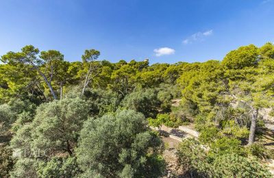 Villa storica in vendita Palma, Isole Baleari, villa-palma-30