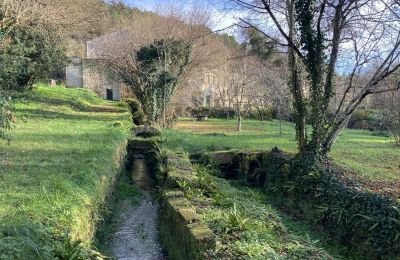 Mulino in vendita Angoulême, Nuova Aquitania, Proprietà