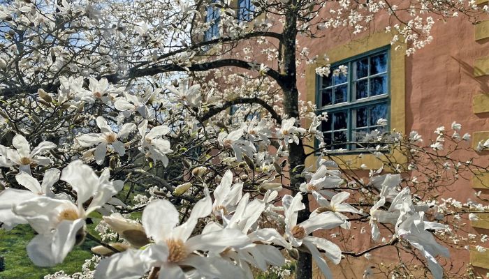 Castello medievale in vendita Mecklenburg-Vorpommern