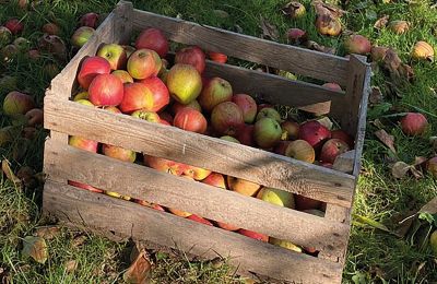 Castello medievale in vendita Mecklenburg-Vorpommern, Foto 78/96