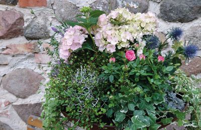 Castello medievale in vendita Mecklenburg-Vorpommern, Foto 53/96