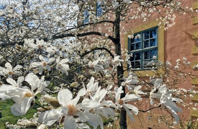 Immobili storici, Castello di Turow in Germania - proprietà storica con 19 ettari di terreno