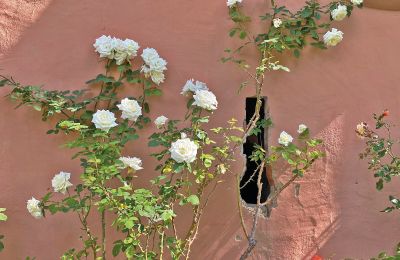 Castello medievale in vendita Mecklenburg-Vorpommern, Foto 45/96