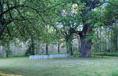 Castello medievale in vendita Mecklenburg-Vorpommern, Foto 68/96