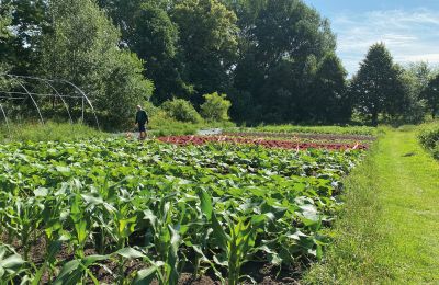 Castello medievale in vendita Mecklenburg-Vorpommern, Foto 62/96