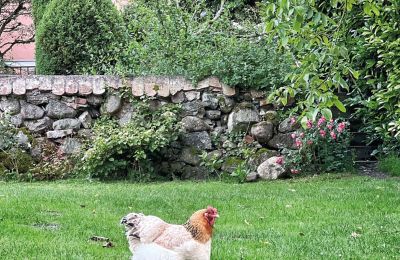 Castello medievale in vendita Mecklenburg-Vorpommern, Foto 75/96