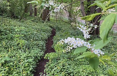 Castello medievale in vendita Mecklenburg-Vorpommern, Foto 58/96
