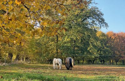 Castello medievale in vendita Mecklenburg-Vorpommern, Foto 77/96