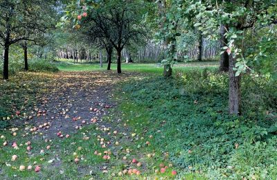 Castello medievale in vendita Mecklenburg-Vorpommern, Foto 69/96