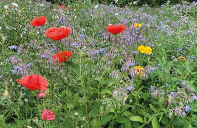 Castello medievale in vendita Mecklenburg-Vorpommern, Foto 65/96
