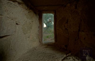 Casa di campagna in vendita 06019 Polgeto, Umbria, Foto 9/28