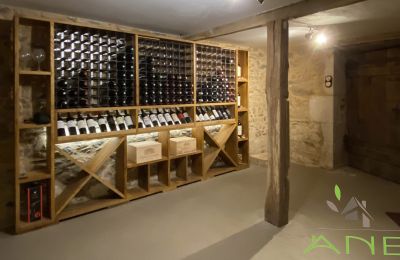 Casa di campagna in vendita Mouzon, Nuova Aquitania, Cantina