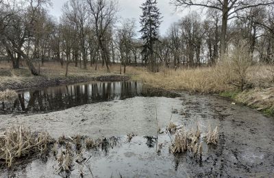 Villa padronale in vendita Bolkowice, Dwór w Bolkowicach, Pomerania Occidentale, Parco