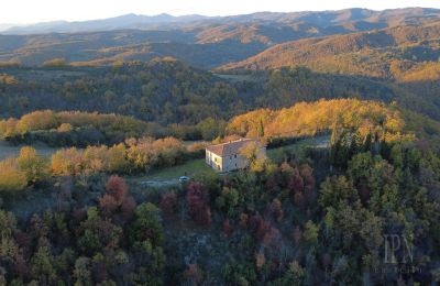 Casa di campagna in vendita Italia, Foto 5/26