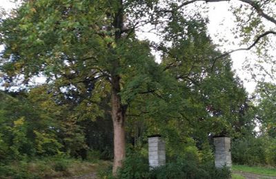 Castello in vendita Kostrzyna, Kostrzyna 38, Bassa Slesia, Foto 12/19