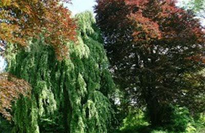 Castello in vendita Kostrzyna, Kostrzyna 38, Bassa Slesia, Foto 16/19