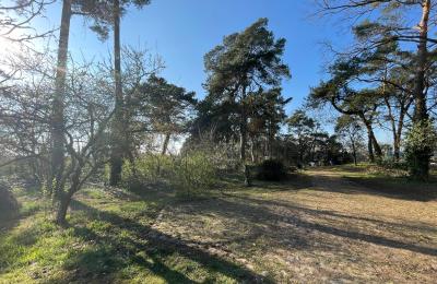 Casa di campagna in vendita 17375 Leopoldshagen, Mecklenburg-Vorpommern, Blick in die Einfahrt