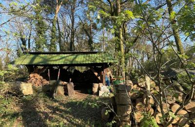 Casa di campagna in vendita 17375 Leopoldshagen, Mecklenburg-Vorpommern, Brennholzlager