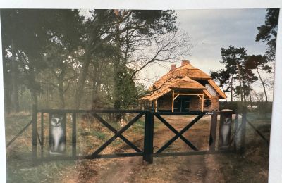 Casa di campagna in vendita 17375 Leopoldshagen, Mecklenburg-Vorpommern, Foto 40/50