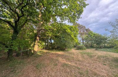 Casa di campagna in vendita 17375 Leopoldshagen, Mecklenburg-Vorpommern, Gartenblick