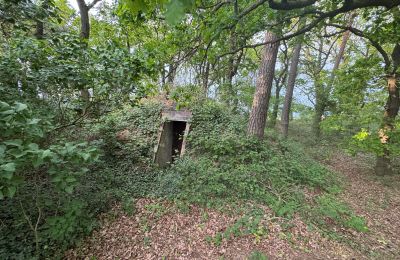 Casa di campagna in vendita 17375 Leopoldshagen, Mecklenburg-Vorpommern, Erdbunker