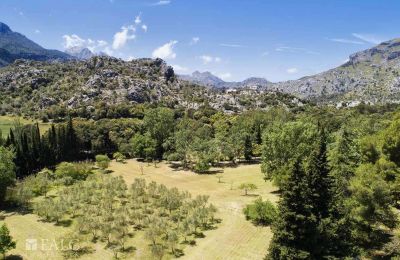 Villa padronale in vendita Escorca, Isole Baleari, finca-escorca-40