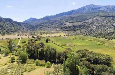 Villa padronale in vendita Escorca, Isole Baleari, finca-escorca-39