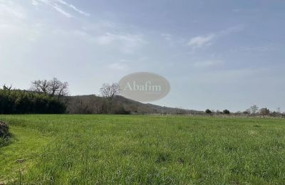 Villa padronale in vendita Sauveterre-de-Béarn, Nuova Aquitania, Proprietà