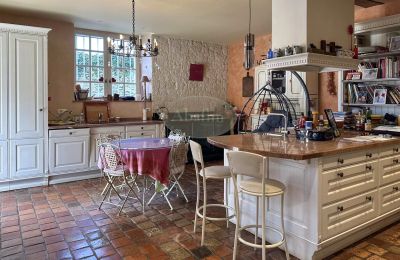 Villa padronale in vendita Sauveterre-de-Béarn, Nuova Aquitania, Cucina