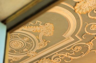 Castello in vendita Capannori, Toscana, Dettagli