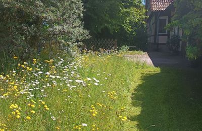 Casale in vendita Germania, Foto 4/33