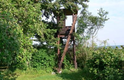Casa di campagna in vendita Germania, Foto 15/32