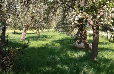 Casa di campagna in vendita Germania, Foto 29/32