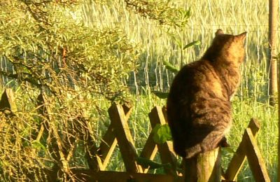 Casa di campagna in vendita Germania, Foto 32/32