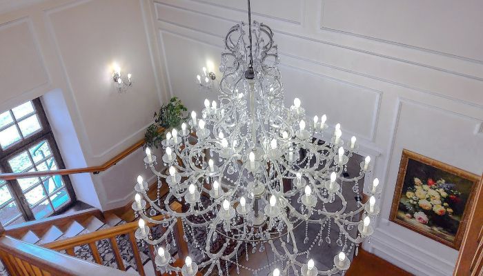 Casa padronale con parco, stagno e hotel nuovo nel centro della Polonia – standard quattro stelle