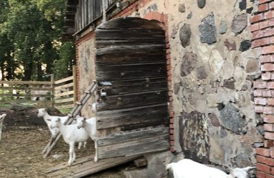 Villa padronale in vendita Vandzene, Curlandia, Foto 4/7