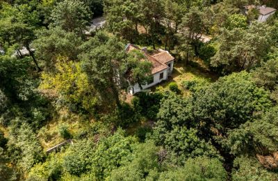 Villa storica in vendita Konstancin-Jeziorna, Masovia, Foto 6/9