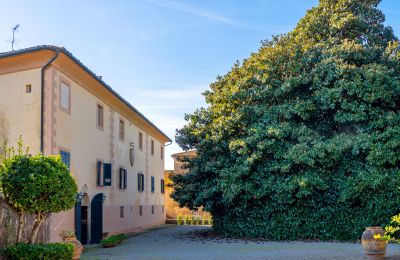 Villa storica in vendita Crespina, Toscana, Foto 33/38